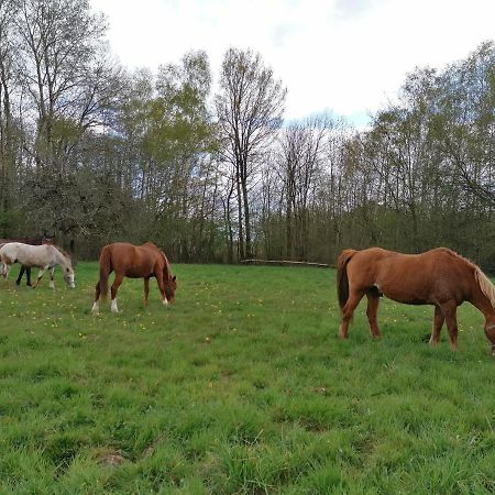 Gite En Creuse Moutier-Malcard Zewnętrze zdjęcie
