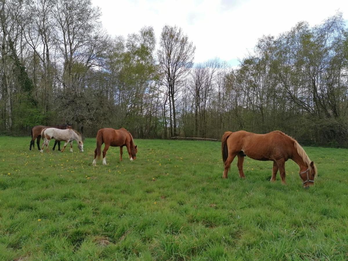 Gite En Creuse Moutier-Malcard Zewnętrze zdjęcie
